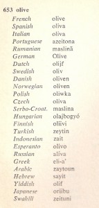 שמות הזית ב25 שפות 
