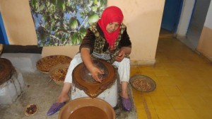 טוחנת פרי עץ האראגן לשמן במרוקו (1)